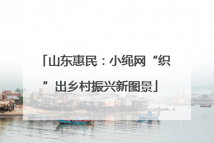 山东惠民：小绳网“织”出乡村振兴新图景
